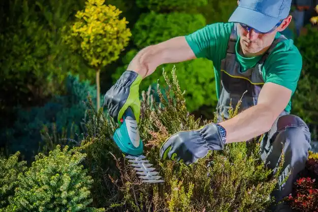 landscaping services Escanaba